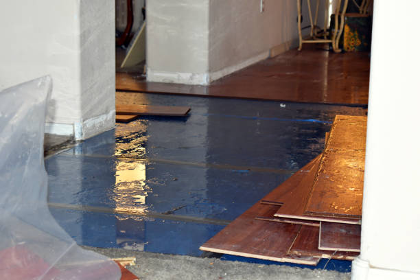Professional Basement Flood Cleanup technician working in Everett, PA
